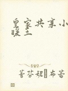 皇家共享小公主暖玉