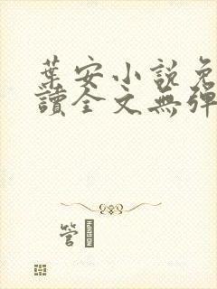 叶安小说免费阅读全文无弹窗