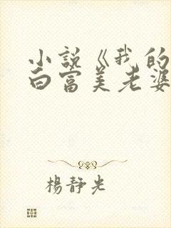 小说《我的总裁白富美老婆》