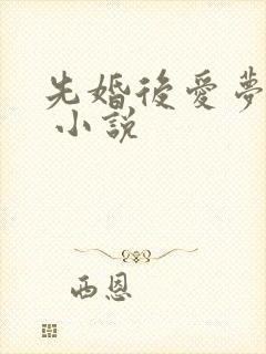 先婚后爱梦筱二 小说封面