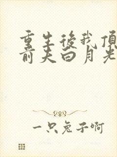 重生后我顶替了前夫白月光手机版