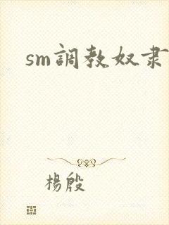 sm调教奴隶文
