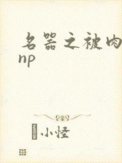 名器之被肉日常np
