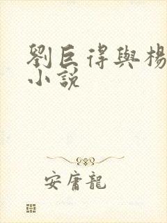 刘巨得与杨贵莲小说