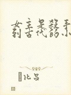 女主是杀手穿越到古代的小说