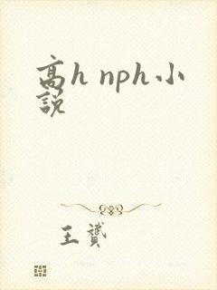 高h nph小说