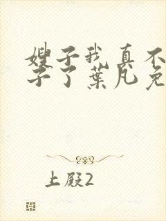 嫂子我真不是傻子了叶凡免费阅读全文小说封面