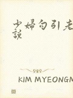 少妇勾引老头小说