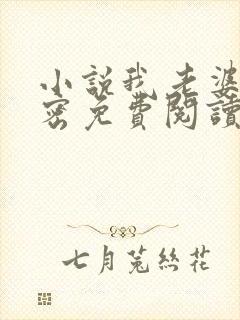 小说我老婆的秘密免费阅读