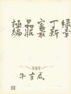 极品家丁绿帽改编版最新章节免费阅读