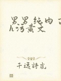 男男 纯肉 高h污黄文封面