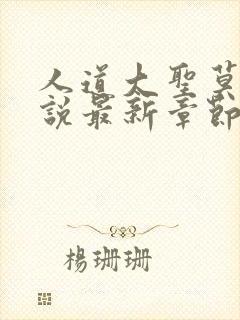 人道大圣莫默小说最新章节无弹窗