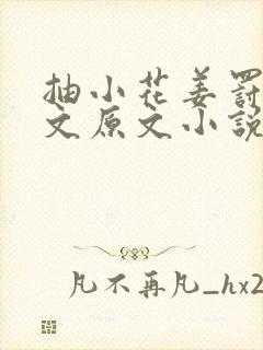 抽小花姜罚训诫文原文小说