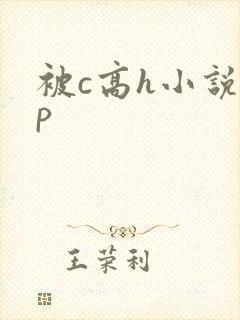 被c高h小说np