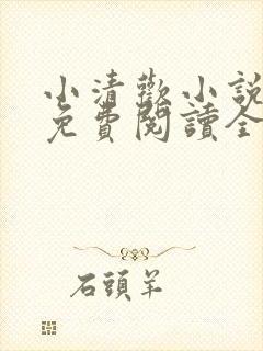 小清欢小说全文免费阅读全文封面