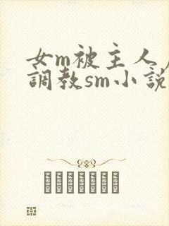 女m被主人虐玩调教sm小说封面