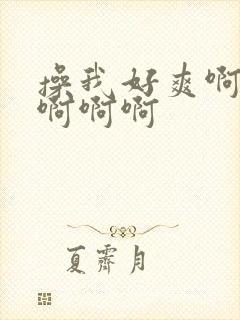 操我好爽啊啊啊啊啊啊封面