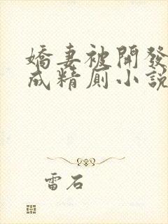 娇妻被开发调教成精厕小说封面