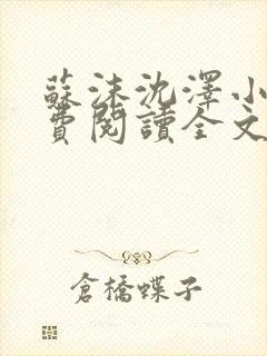 苏沫沈泽小说免费阅读全文最新章节