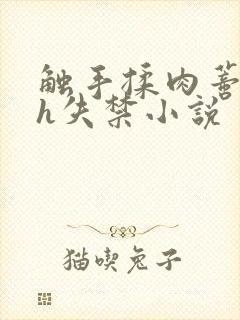 触手揉肉蒂高潮h失禁小说