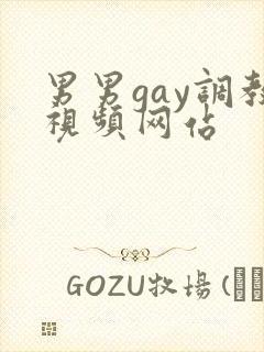 男男gay调教视频网站