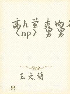 高h荤爽肉欲文〈np〉男男