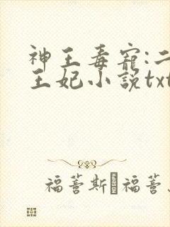 神王毒宠:二嫁王妃小说txt