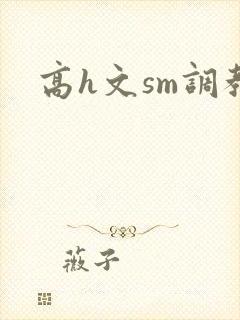 高h文sm调教