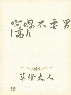 啊嗯不要男男bl高h