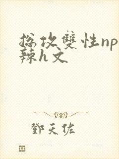 总攻双性np高辣h文封面