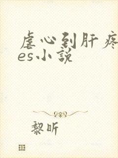 虐心到肝疼的les小说封面