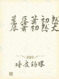 叶辰萧初然 叶辰萧初然大结局