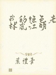 我的绝色老板娘林岚江明封面