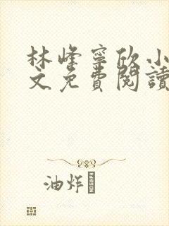 林峰宁欣小说全文免费阅读笔趣阁封面
