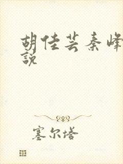 胡佳芸秦峰的小说