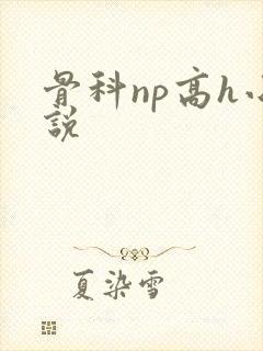 骨科np高h小说封面