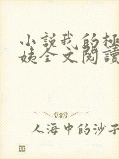 小说我的极品小姨全文阅读