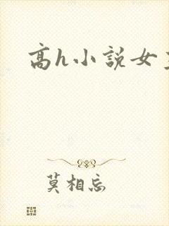 高h小说女主