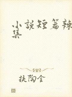 小说短篇辣文合集