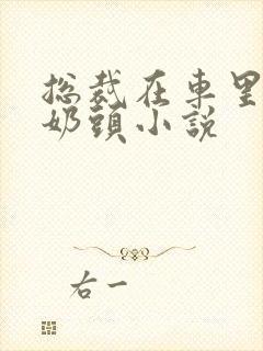 总裁在车里含我奶头小说封面