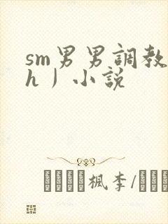 sm男男调教〈h丿小说封面