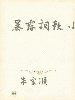 暴露调教 小说封面