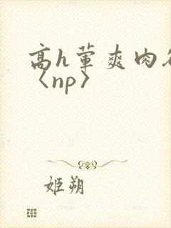 高h荤爽肉欲文〈np〉