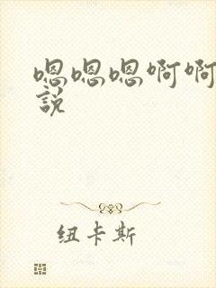 嗯嗯嗯啊啊啊小说封面