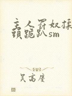 主人罚奴揉捏奶头跪趴sm