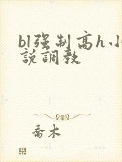 bl强制高h小说调教