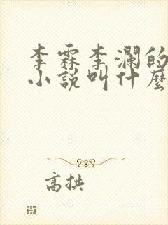 李霖李澜的官场小说叫什么名字啊