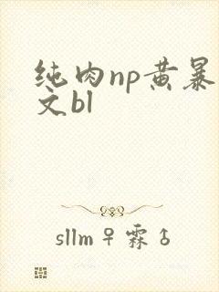 纯肉np黄暴h文bl