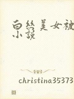 白丝美女被爆操小说封面