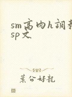 sm高肉h调教sp文